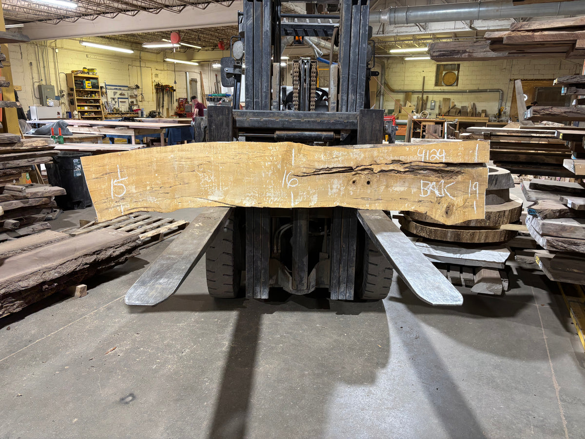 Maple - (4124) 97" L x 12-20" W x 2.5 T