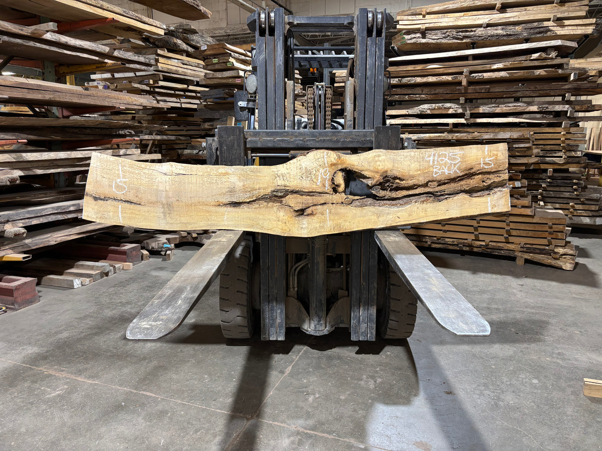 Maple - (4125) 96" L x 9-19" W x 2.5 T