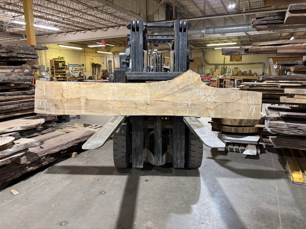Maple - (4127) 117" L x 12-21" W x 2.5 T