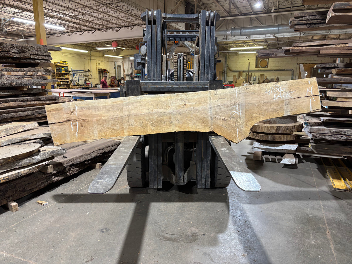 Maple - (4126) 116" L x 14-24" W x 2.5 T