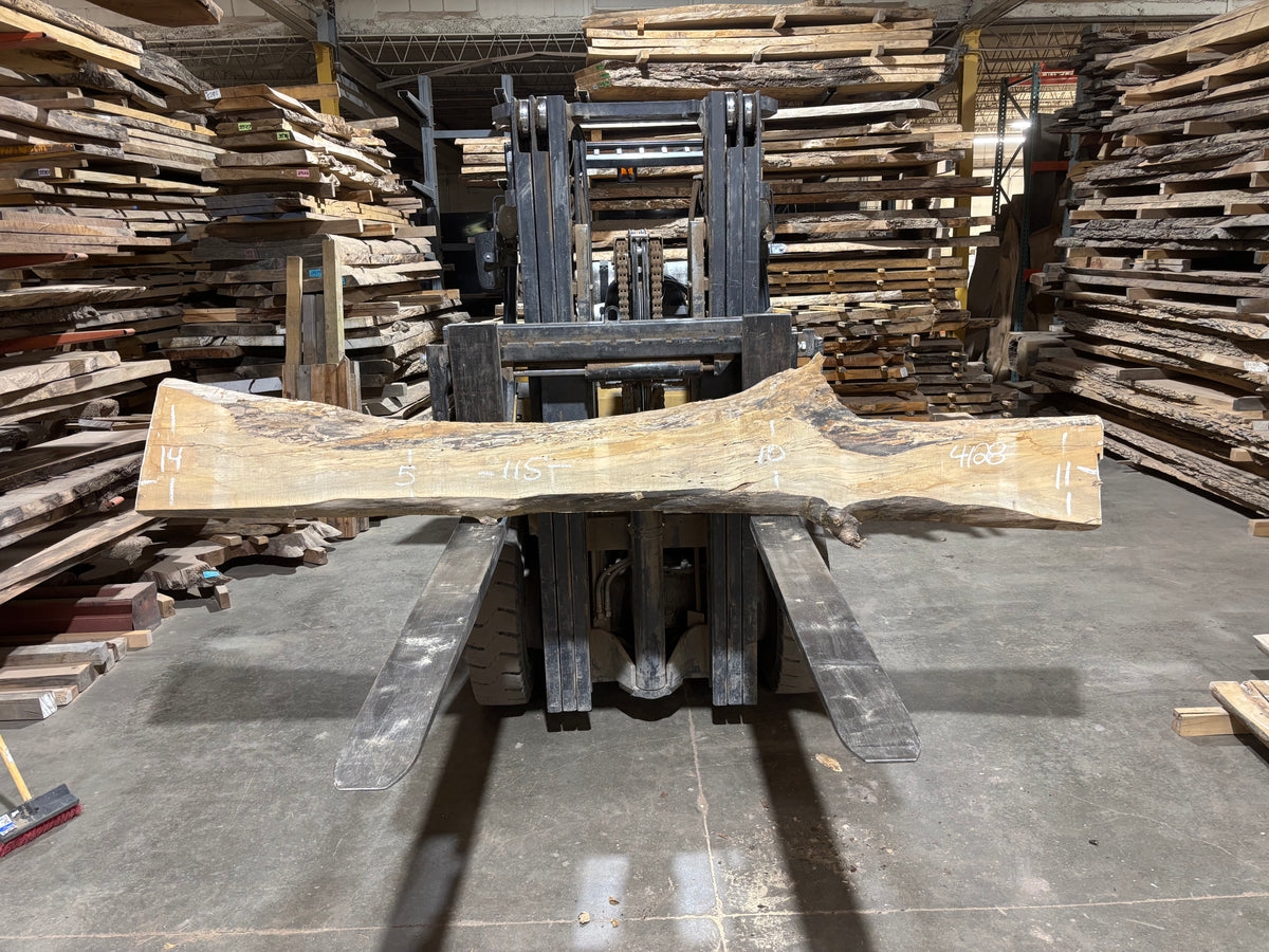 Maple - (4128) 115" L x 5-14" W x 2.5 T