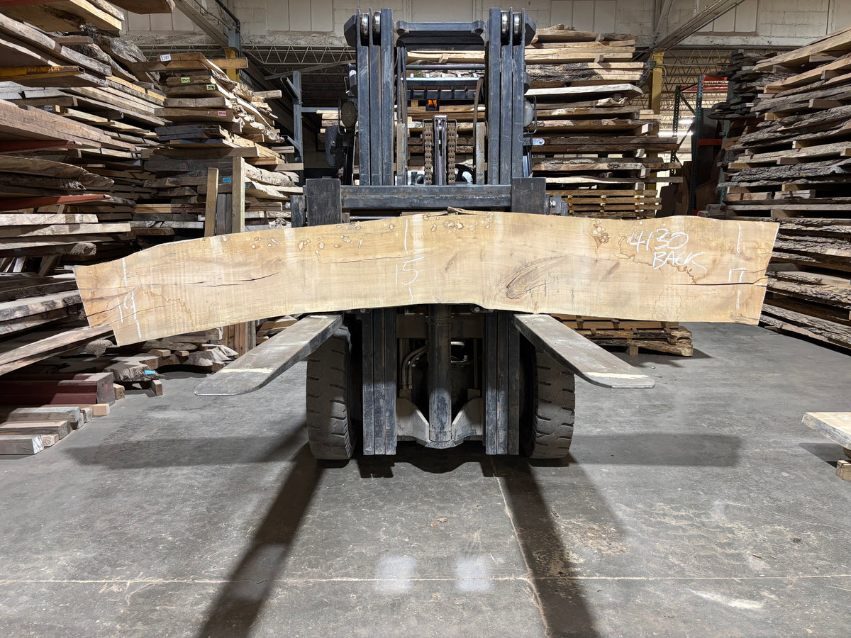 Maple - (4130) 120" L x 14-18" W x 2.5 T