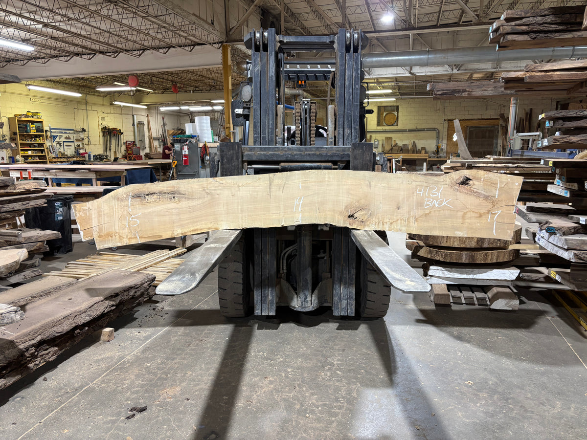 Maple - (4131) 119" L x 10-17" W x 2.5 T
