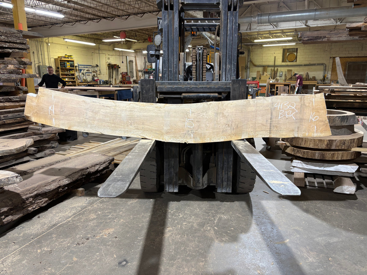 Maple - (4132) 112" L x 12-15" W x 2.5 T