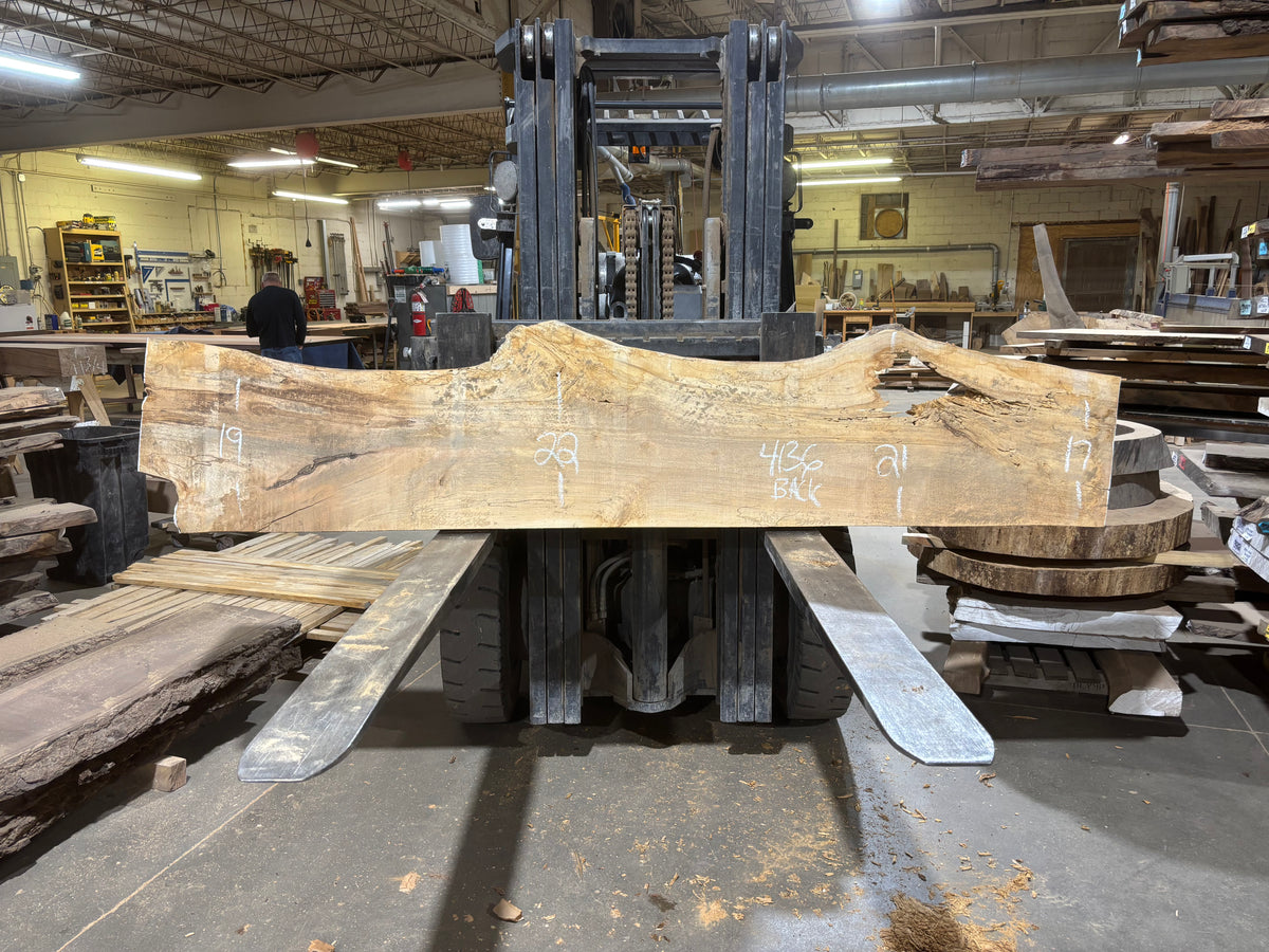 Maple - (4136) 105" L x 17-22" W x 2.5 T