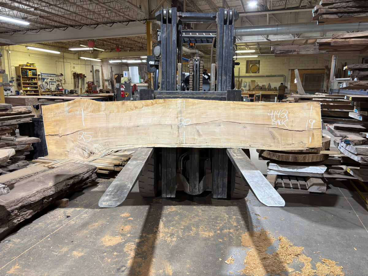 Maple - (4142) 113&quot; L x 18-26&quot; W x 2.5 T