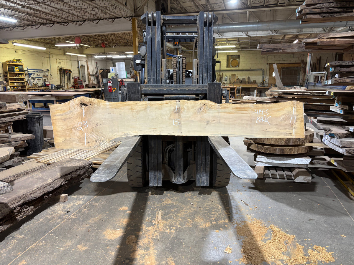 Maple - (4143) 113" L x 8-19" W x 2.5 T