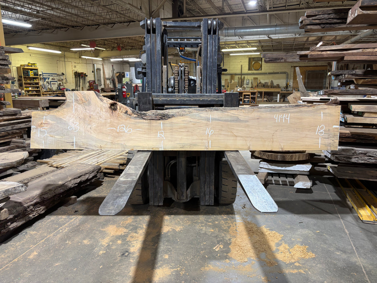 Maple - (4144) 126&quot; L x 12-23&quot; W x 2.5 T