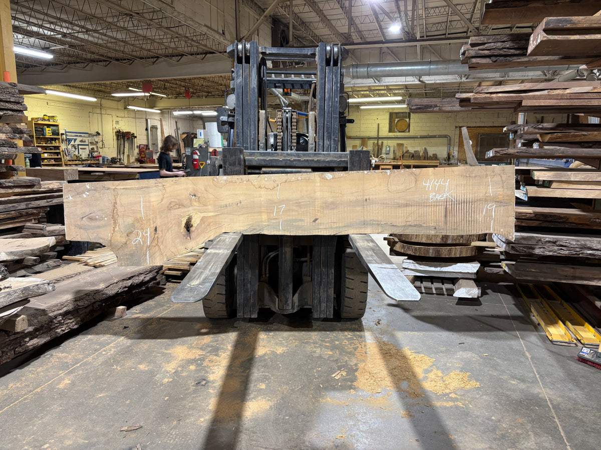 Maple - (4144) 126&quot; L x 12-23&quot; W x 2.5 T