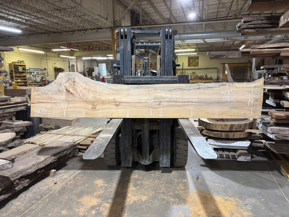Maple - (4145) 126&quot; L x 16-24&quot; W x 2.5 T