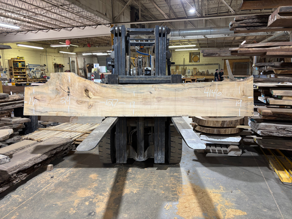 Maple - (4146) 127" L x 16-24" W x 2.5 T