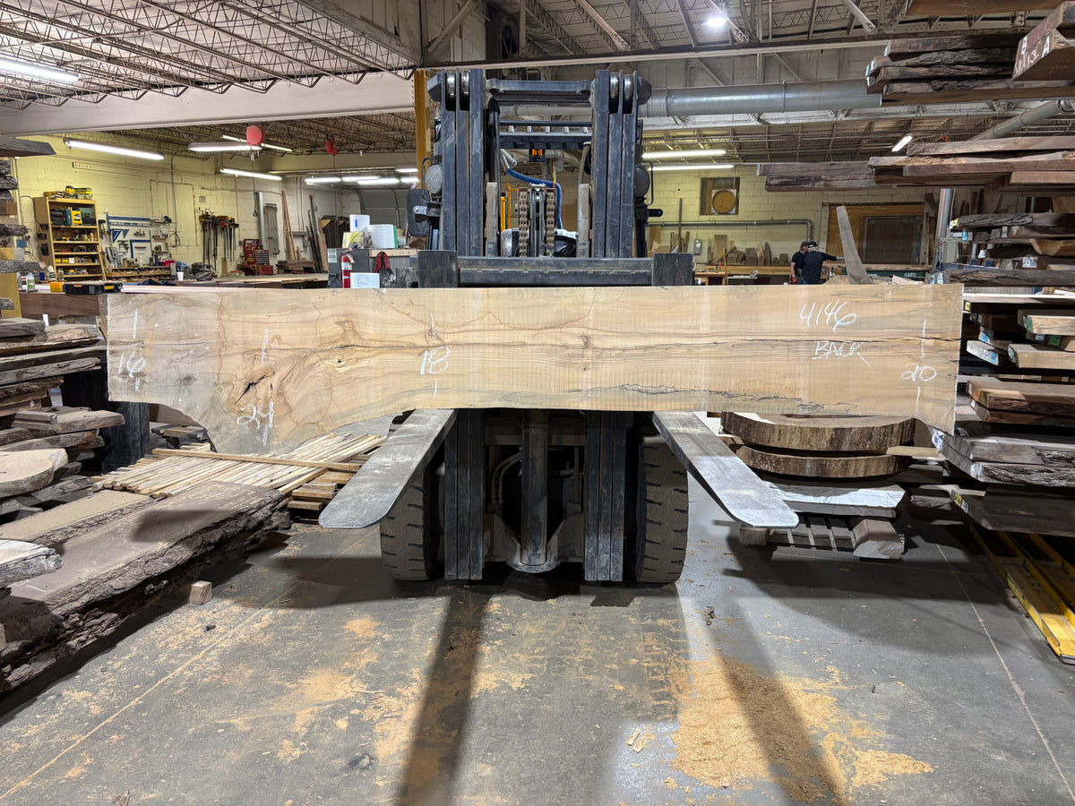 Maple - (4146) 127" L x 16-24" W x 2.5 T