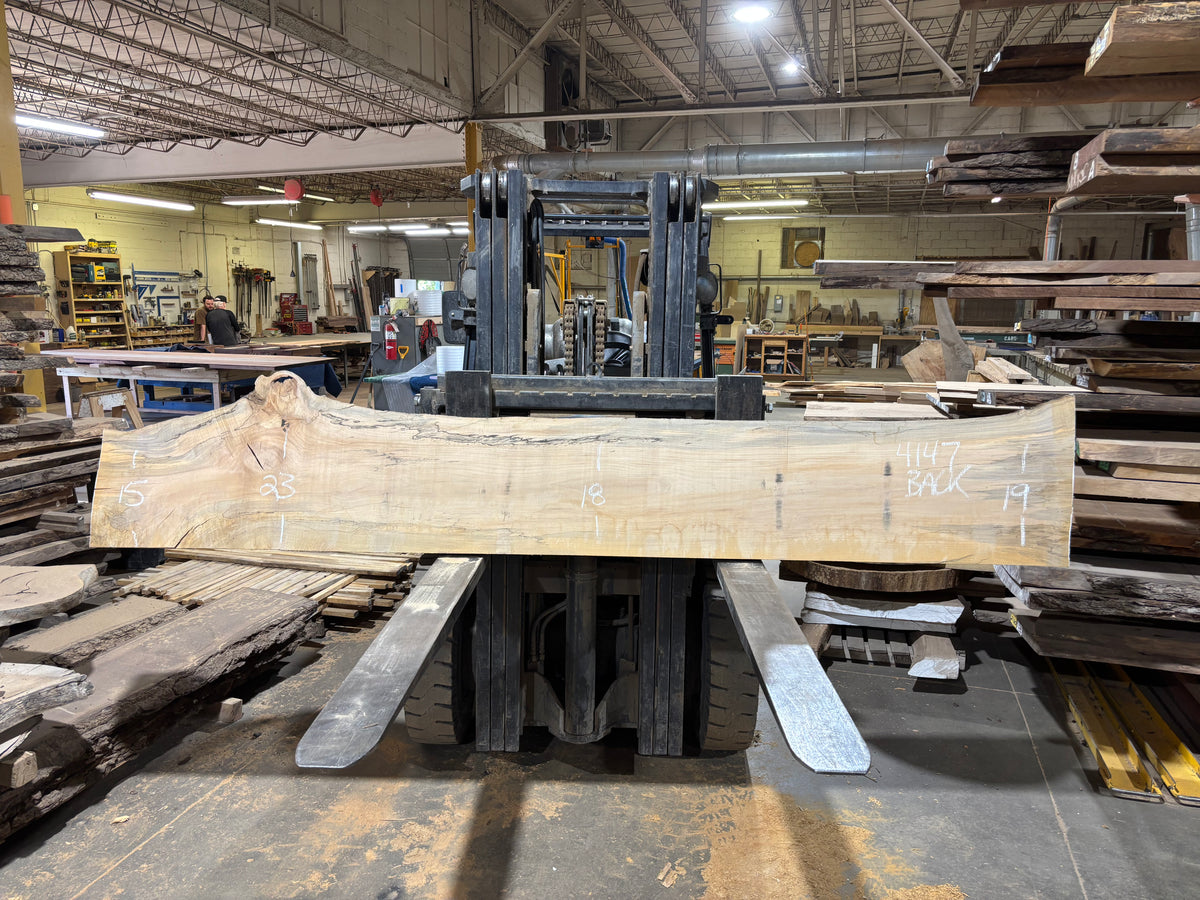 Maple - (4147) 126&quot; L x 14-21&quot; W x 2.5 T