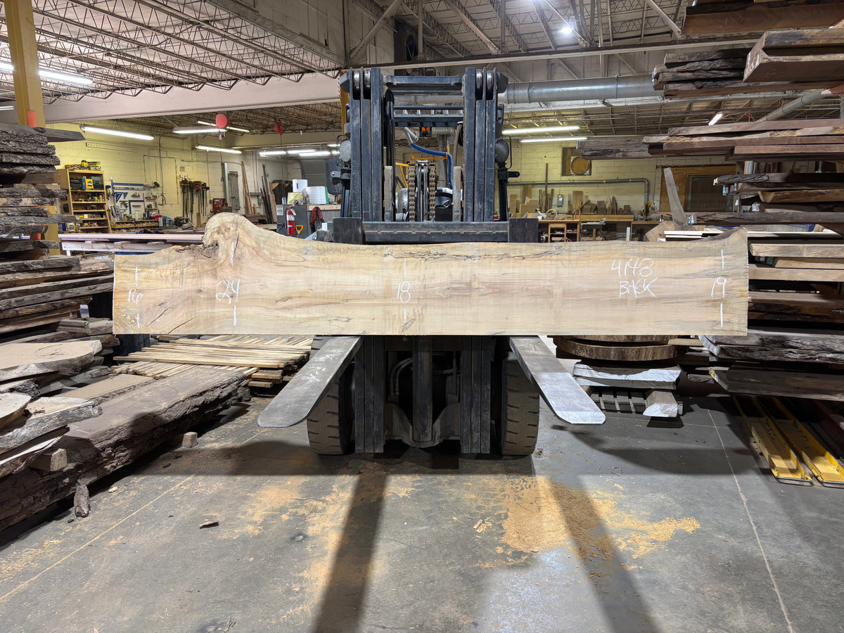 Maple - (4148) 127&quot; L x 15-23&quot; W x 2.5 T