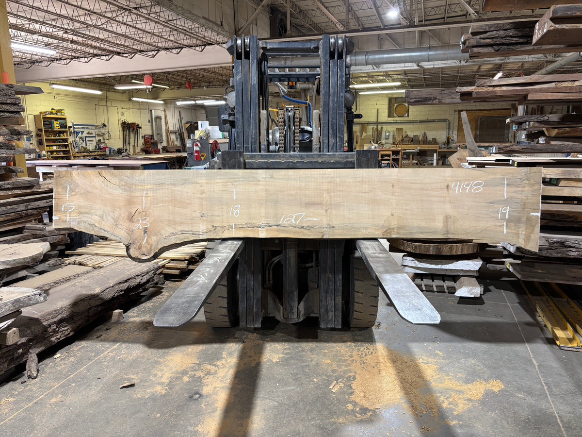 Maple - (4148) 127&quot; L x 15-23&quot; W x 2.5 T