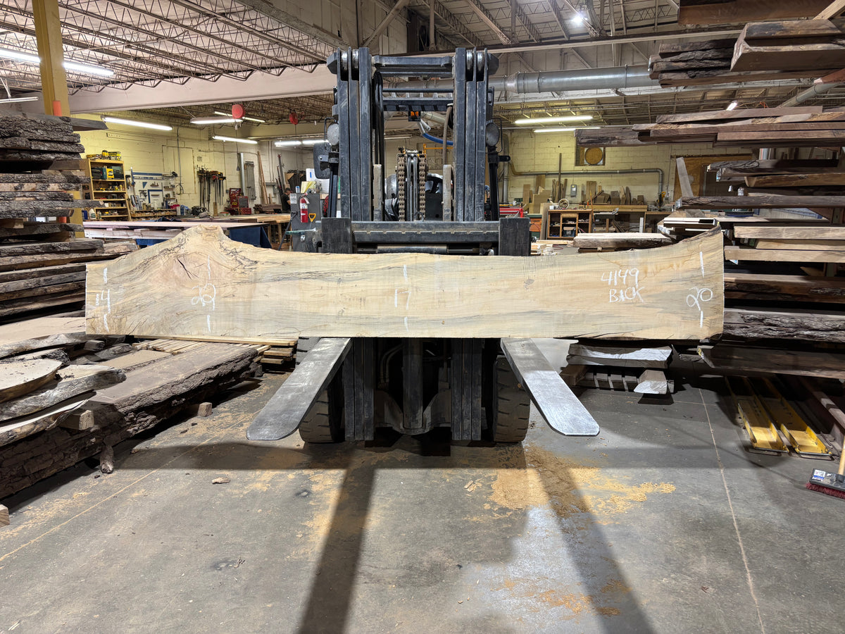 Maple - (4149) 127" L x 12-20" W x 2.5 T
