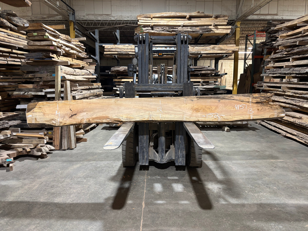 Maple - (4151) 152&quot; L x 12-14&quot; W x 2.5 T