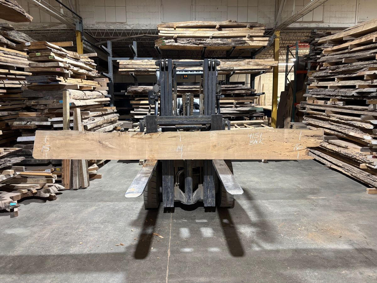 Maple - (4151) 152&quot; L x 12-14&quot; W x 2.5 T