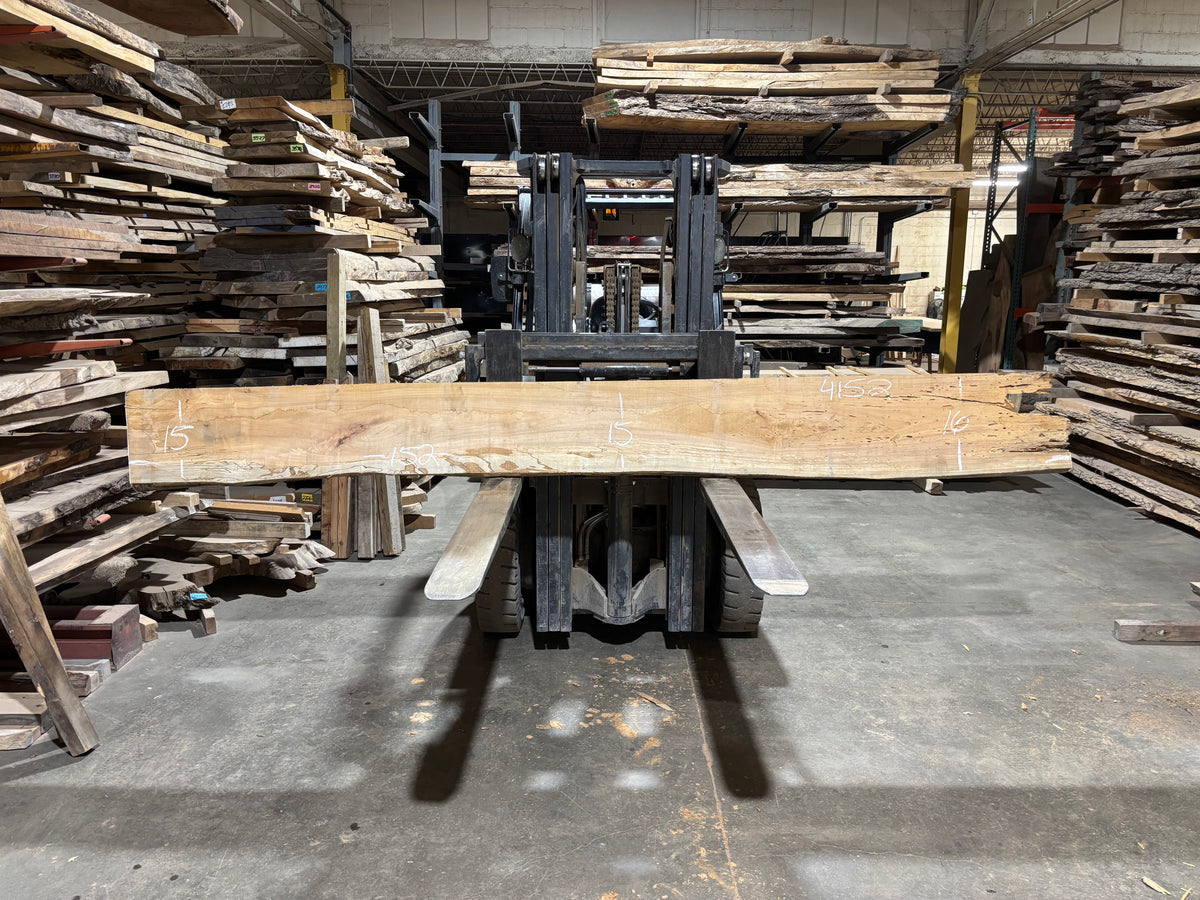 Maple - (4152) 152&quot; L x 15-16&quot; W x 2.5 T