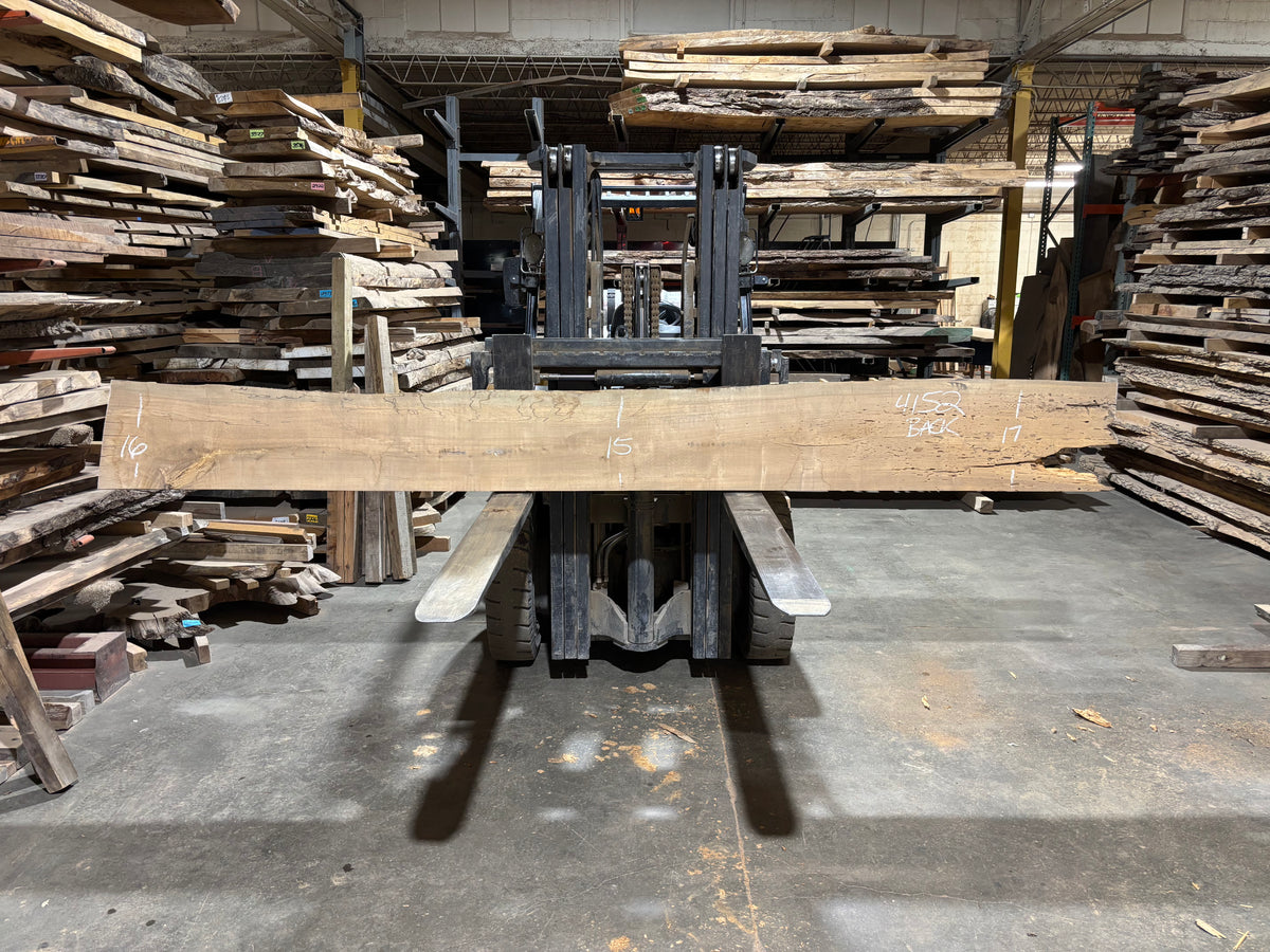 Maple - (4152) 152&quot; L x 15-16&quot; W x 2.5 T