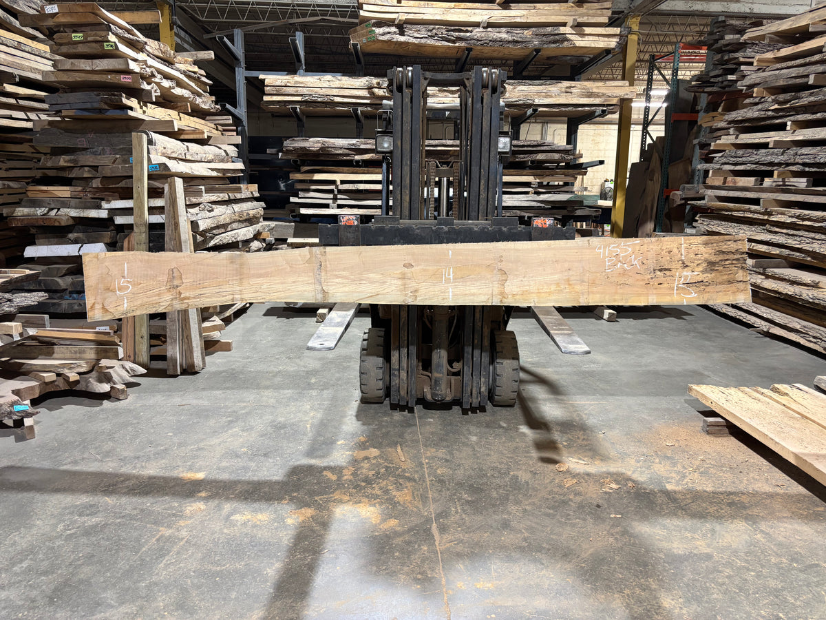 Maple - (4155) 151" L x 6-14" W x 2.5 T