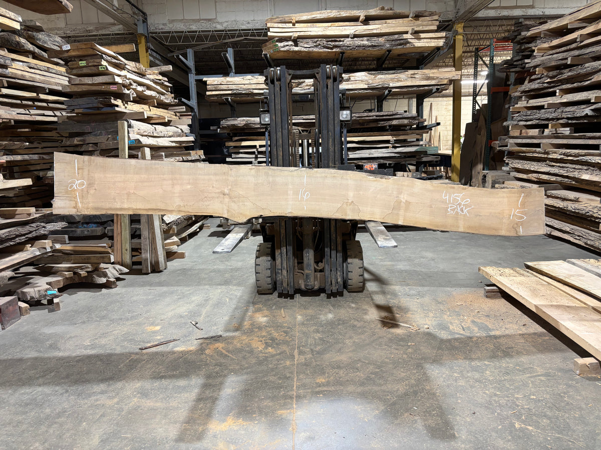 Maple - (4156) 166&quot; L x 13-17&quot; W x 2.5 T