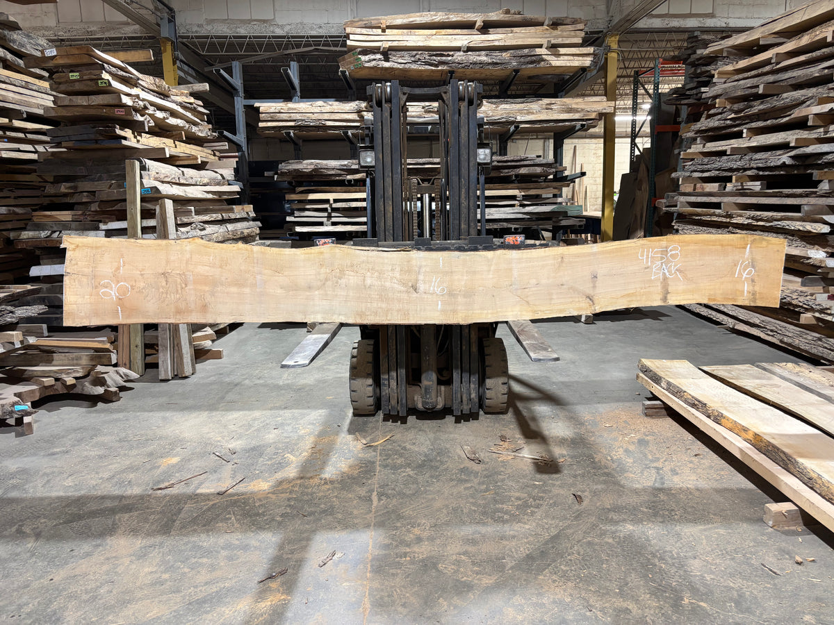 Maple - (4158) 164&quot; L x 14-17&quot; W x 2.5 T