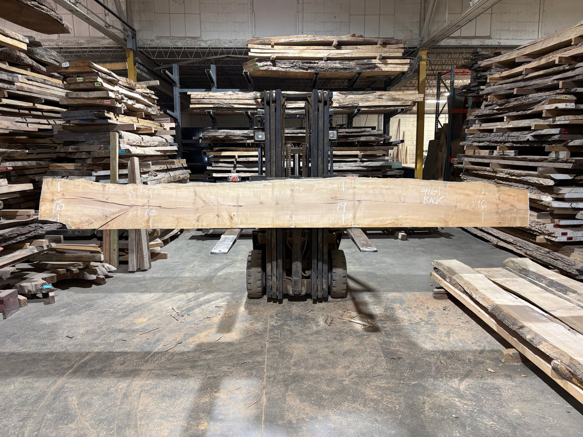 Maple - (4161) 180&quot; L x 16-17&quot; W x 2.5 T
