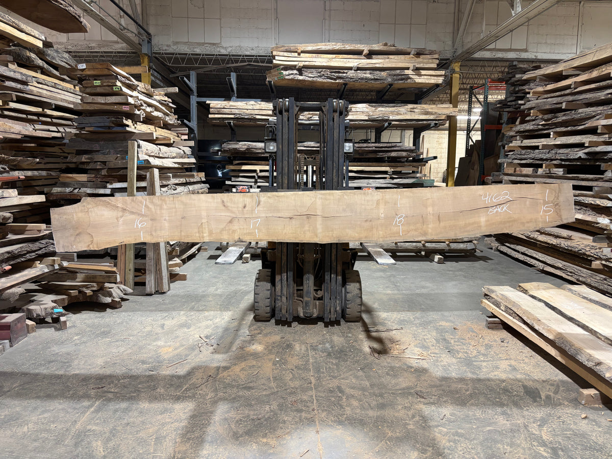 Maple - (4162) 180" L x 15-18" W x 2.5 T