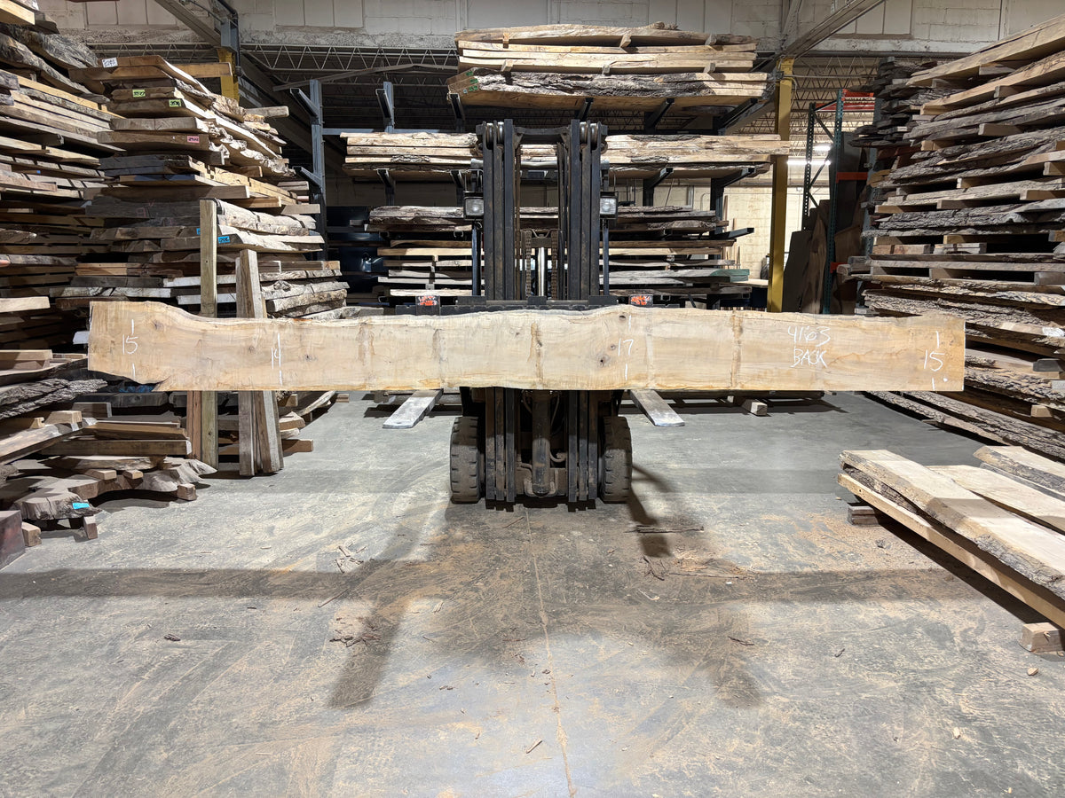 Maple - (4163) 180" L x 15-18" W x 2.5 T