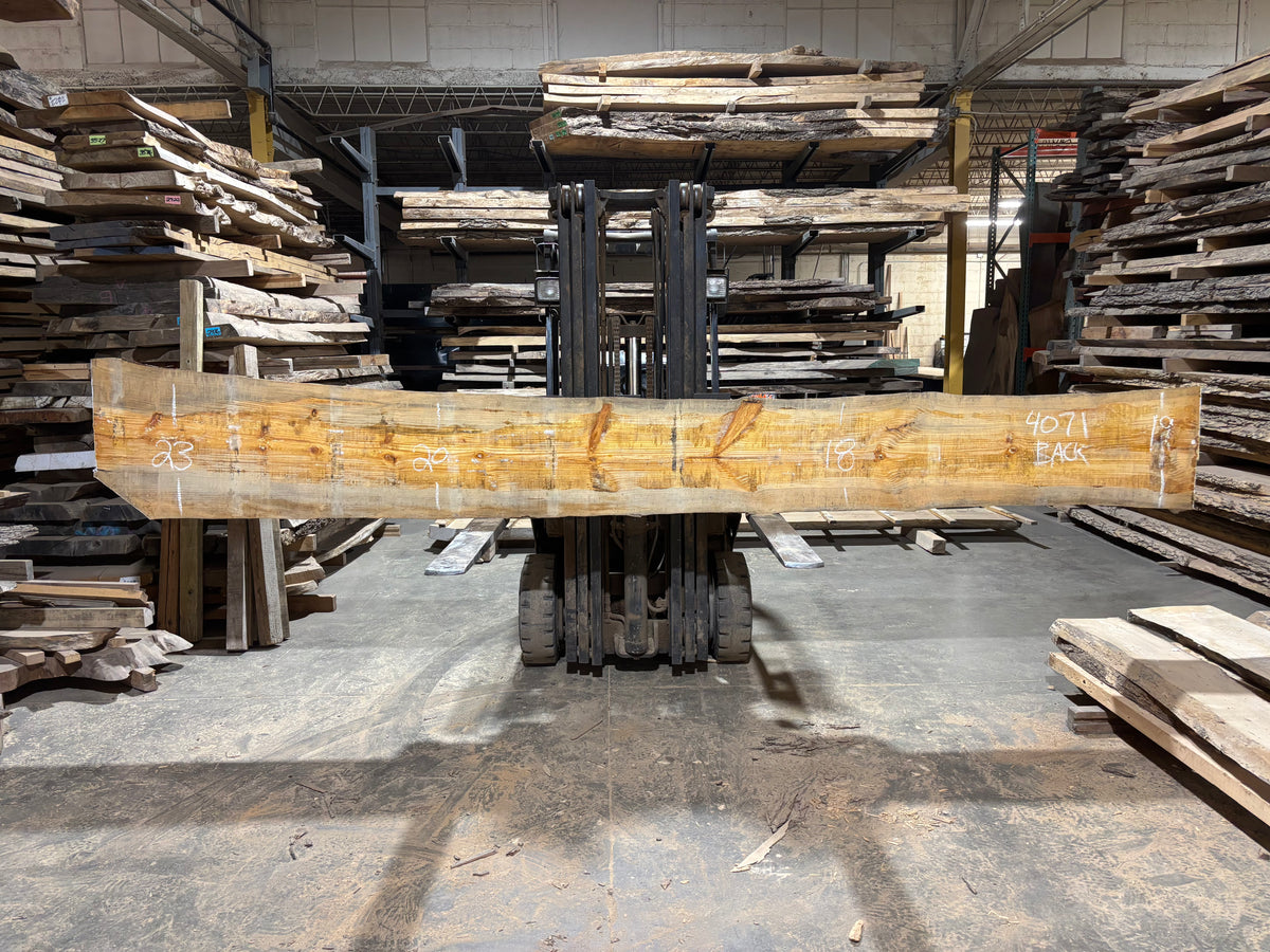 Pine (4071) 173” L x 14-23” W x 4” T