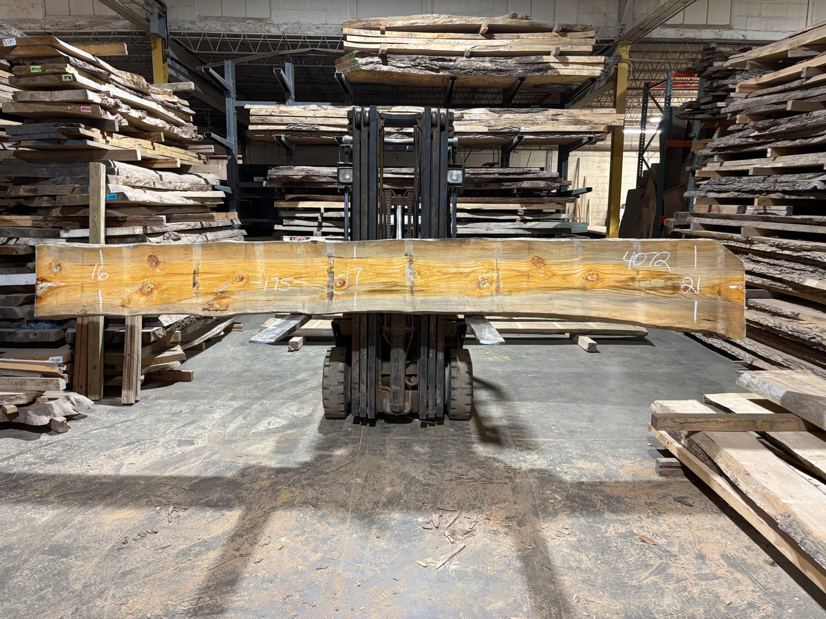 Pine (4072) 175” L x 16-21” W x 4” T