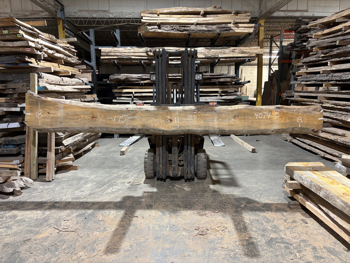 Pine (4074) 175” L x 8-18” W x 4” T