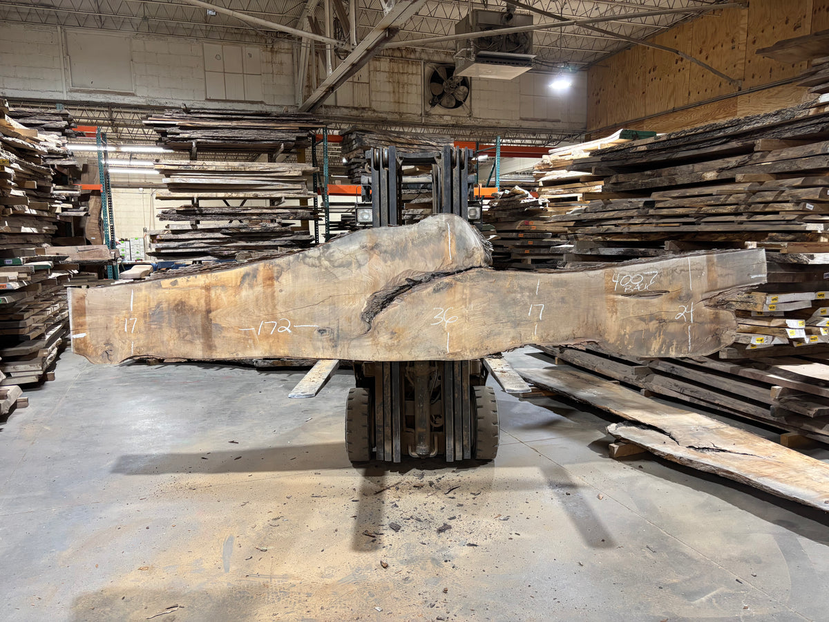 Pecan - (4007) 107" L x 10-32" W x 2.5 T