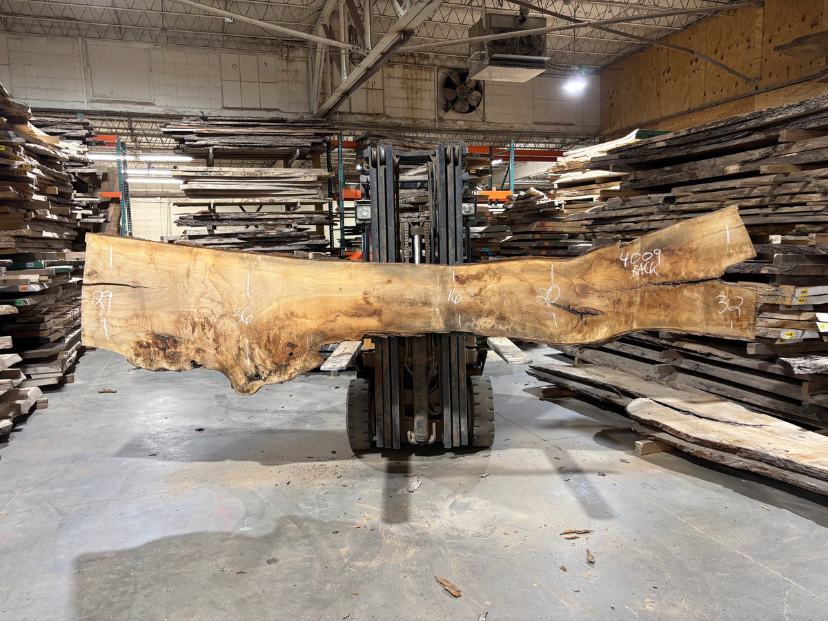 Pecan - (4009) 169&quot; L x 11-34&quot; W x 2.5 T