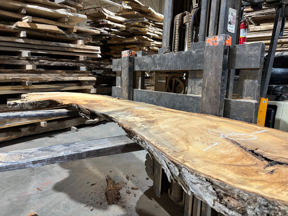 Pecan - (4009) 169&quot; L x 11-34&quot; W x 2.5 T