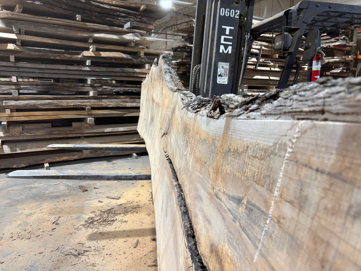 Pecan - (4011) 172&quot; L x 23-35&quot; W x 2.5 T