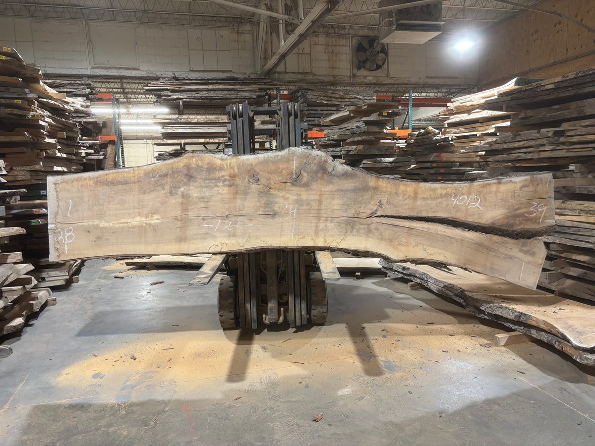 Pecan - (4012) 172&quot; L x 28-39&quot; W x 2.5 T