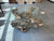 Root Ball Coffee Table 376