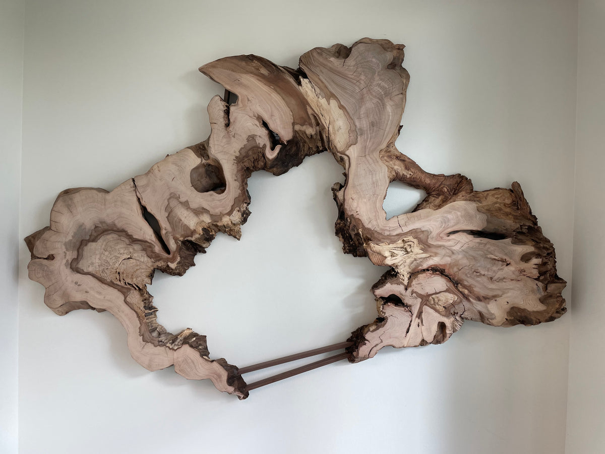 Live Edge Elm Art