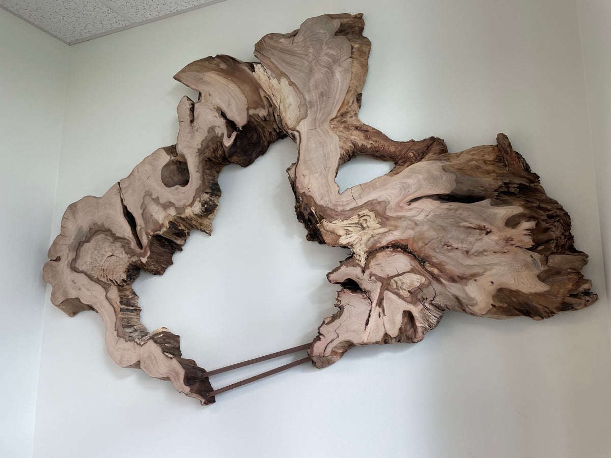 Live Edge Elm Art