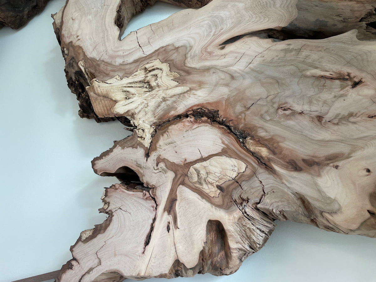 Live Edge Elm Art