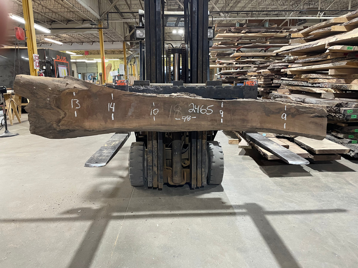 Curley Walnut (2465) 98” L x 9-14” W x 2.25” T