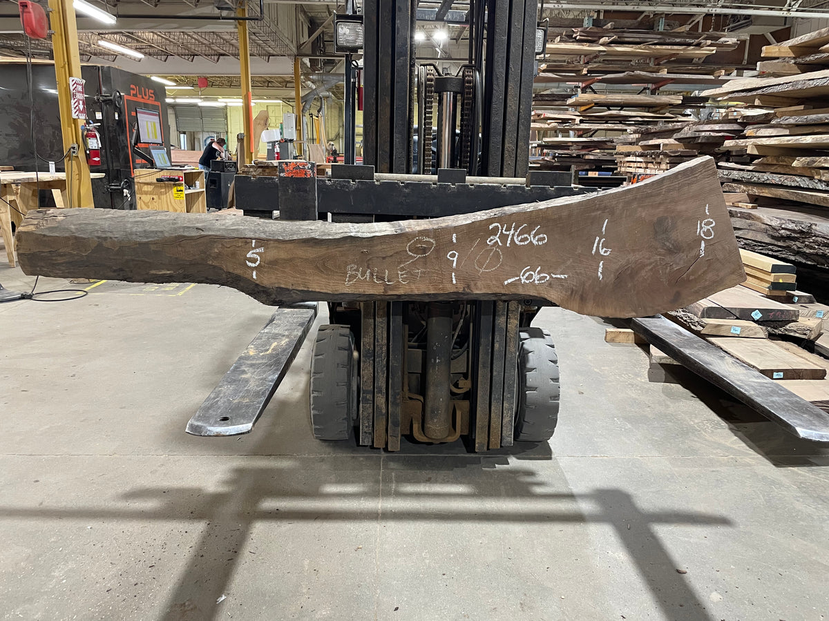 Curley Walnut (2466) 66” L x 5-18” W x 2.25” T