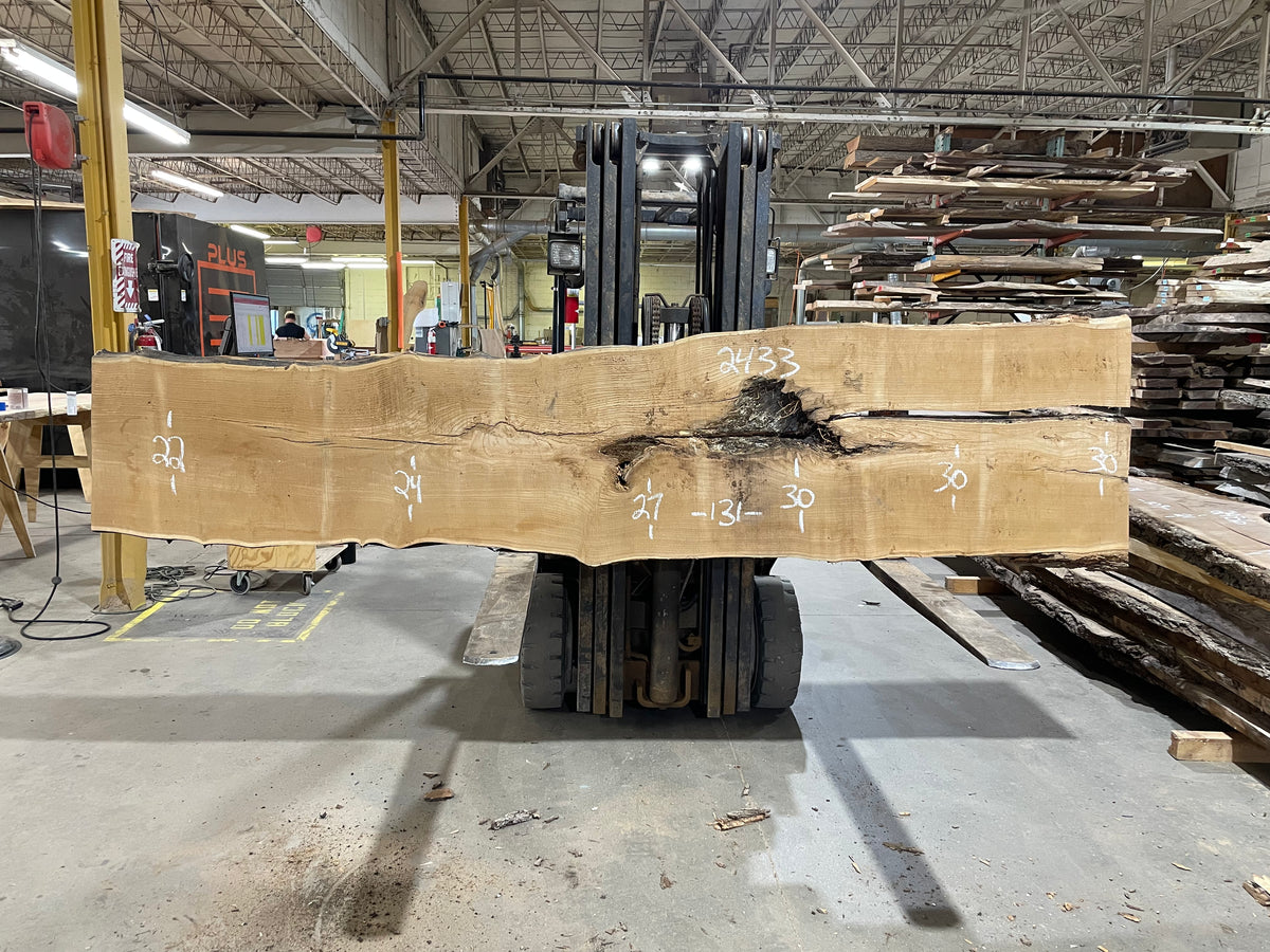 MULBERRY (2433) 131`” L x 24-30” W x 2.5”