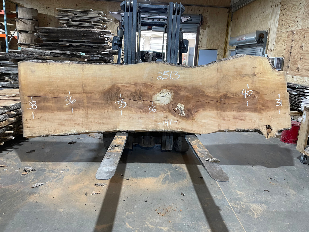 Sycamore (2513) 141” L X 31-40” W X 3” T