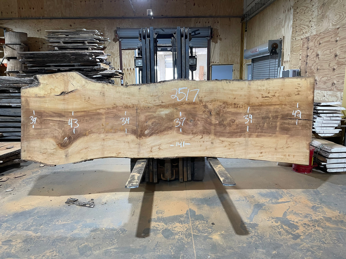 Sycamore (2517) 141” L X 34-42” W X 3” T