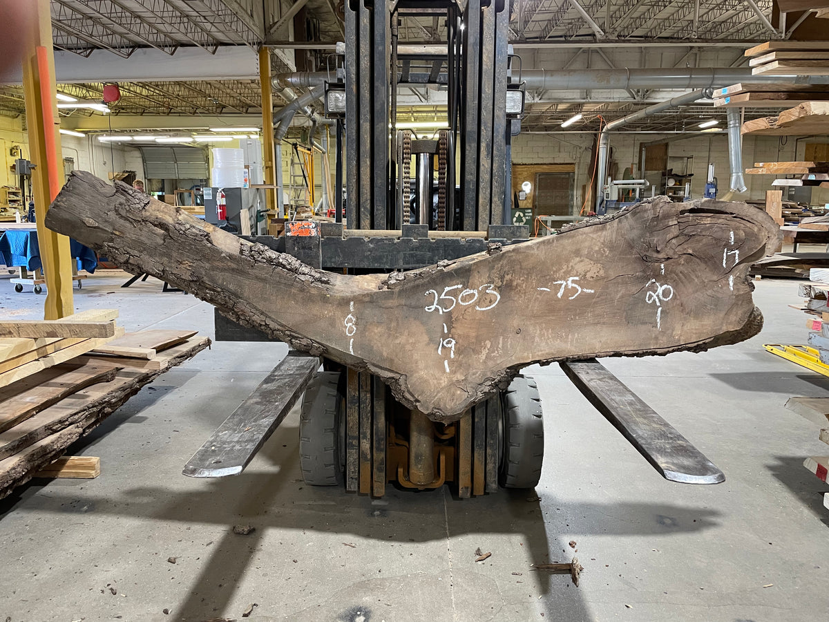 BLACK WALNUT (2503)  75” L x 8-20” W x 2” T