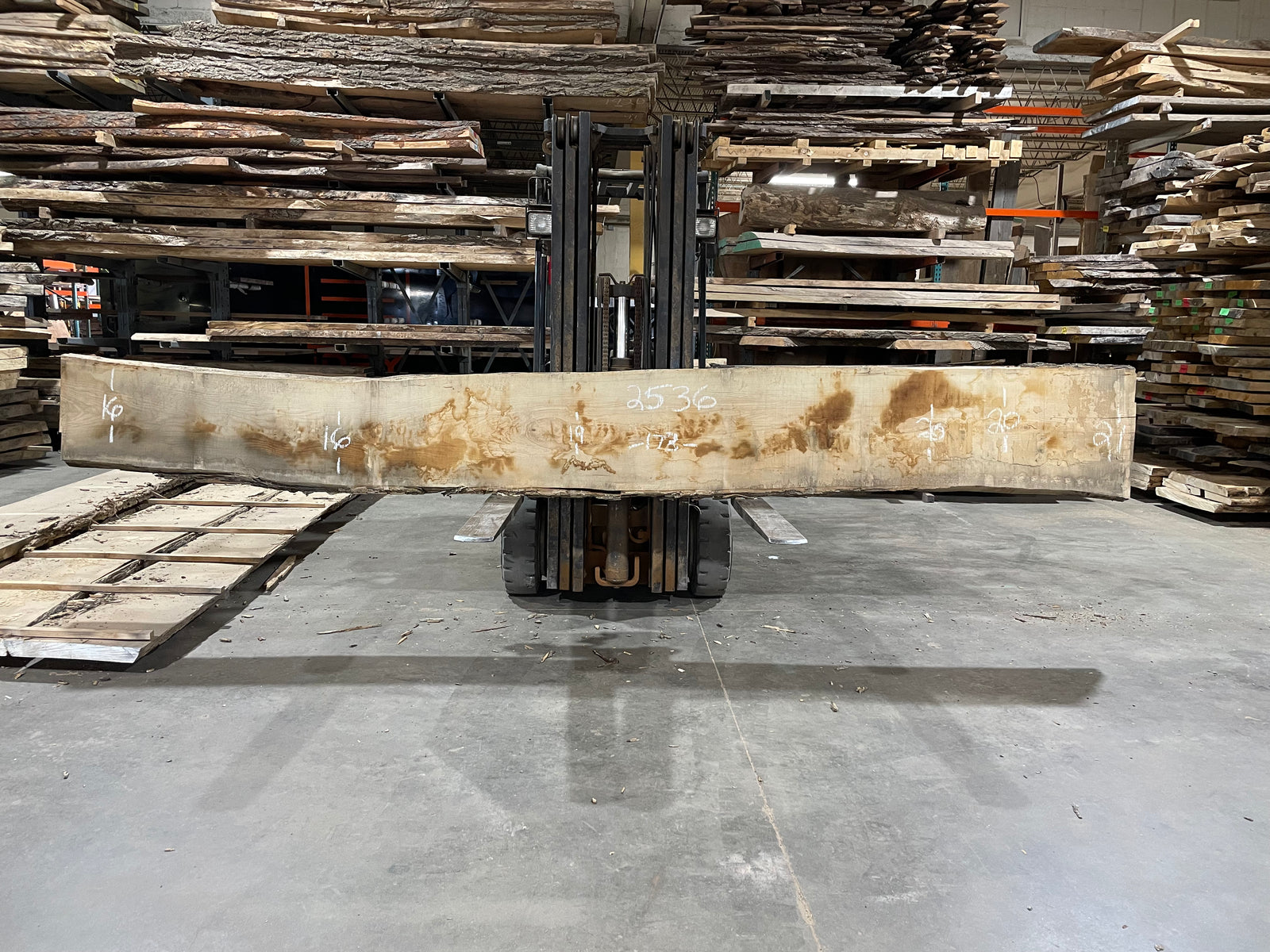 Ash (2536)  173” L x 16-21” W x 2.5” T