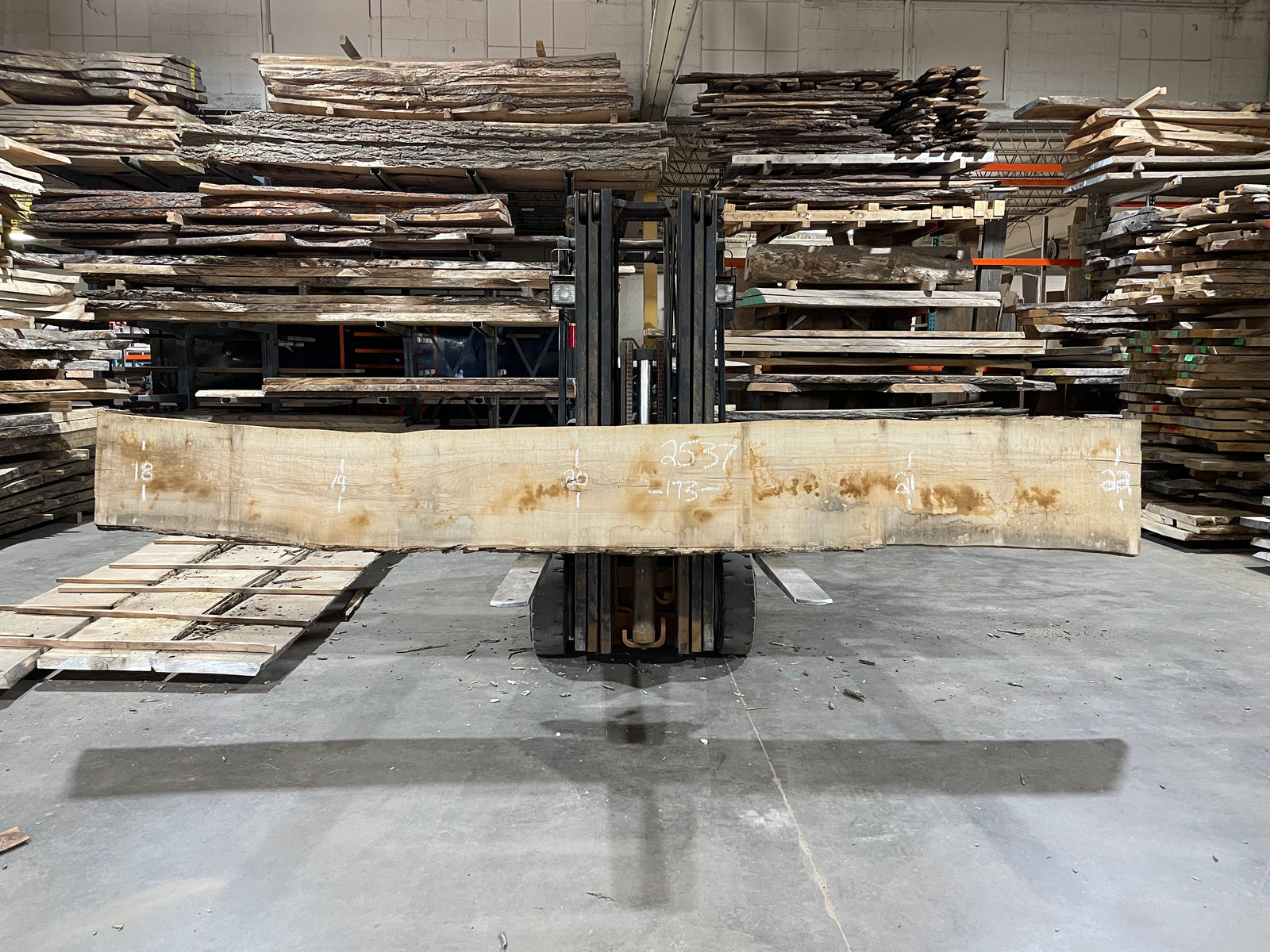 Ash (2537)  173” L x 18-22” W x 2.5” T